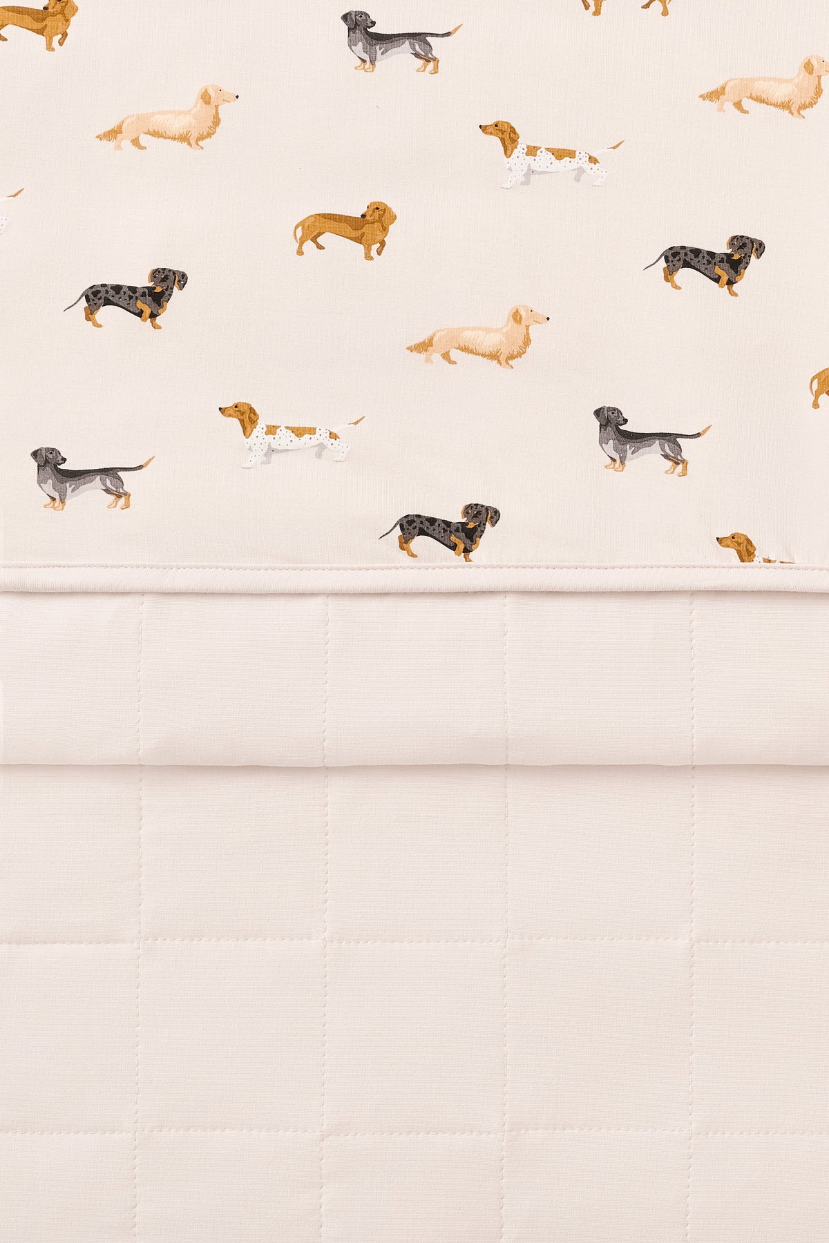 Baby Blanket in Dachshund 1.0