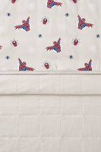 Baby Blanket in Spider-Man 1.0