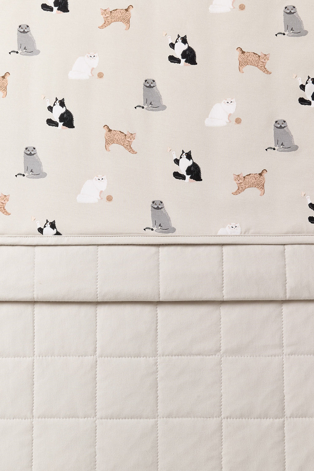 Toddler Blanket in Fluffy Cat 1.0