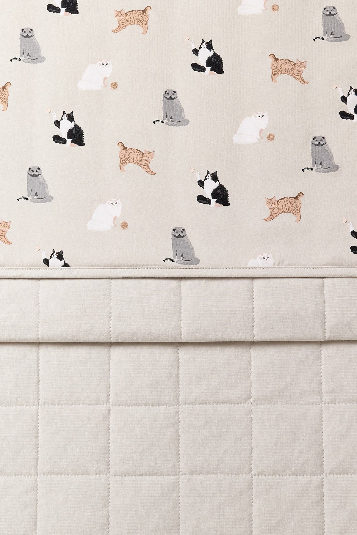 Toddler Blanket in Fluffy Cat 1.0