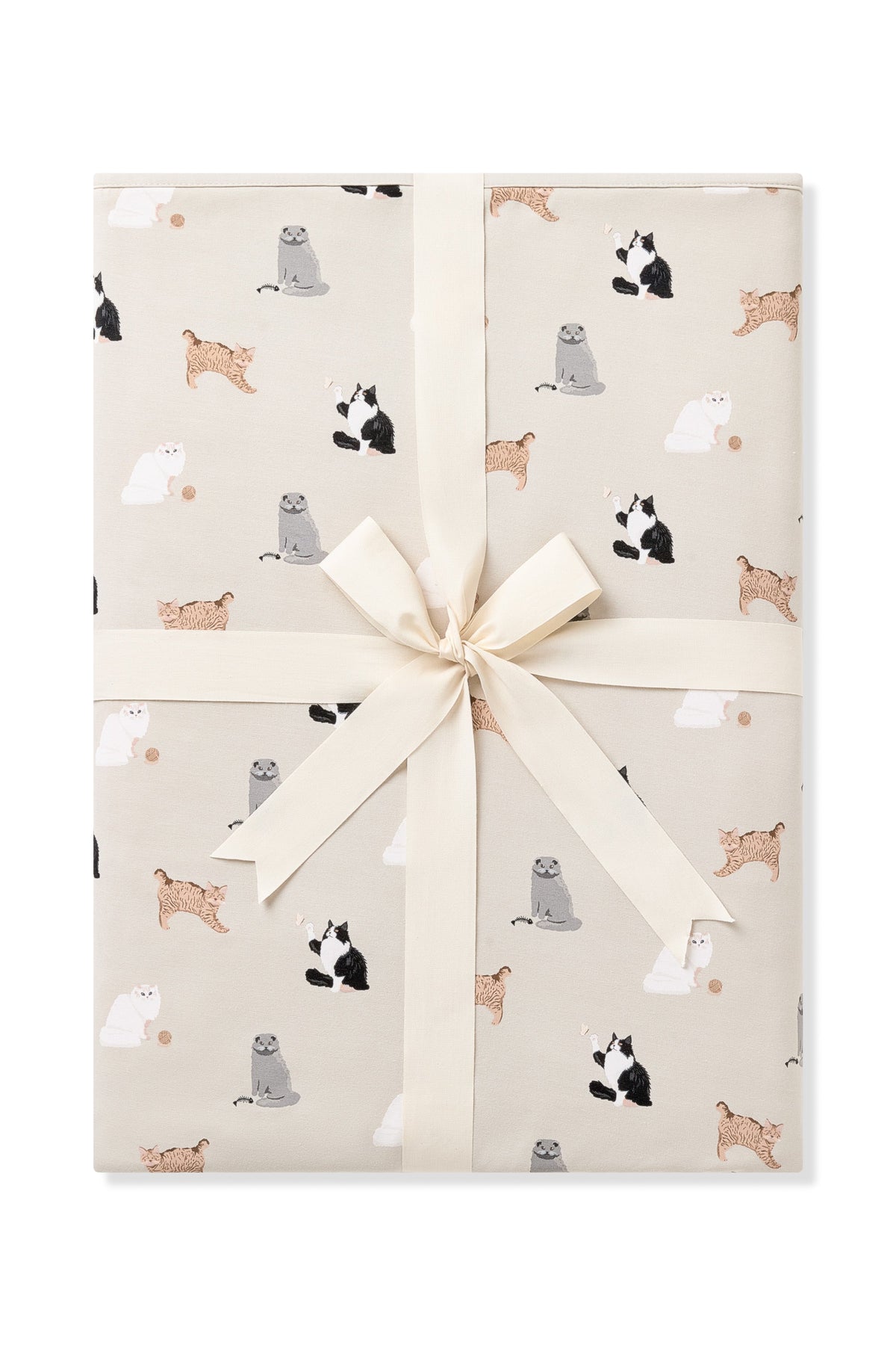 Youth Blanket in Fluffy Cat 1.0
