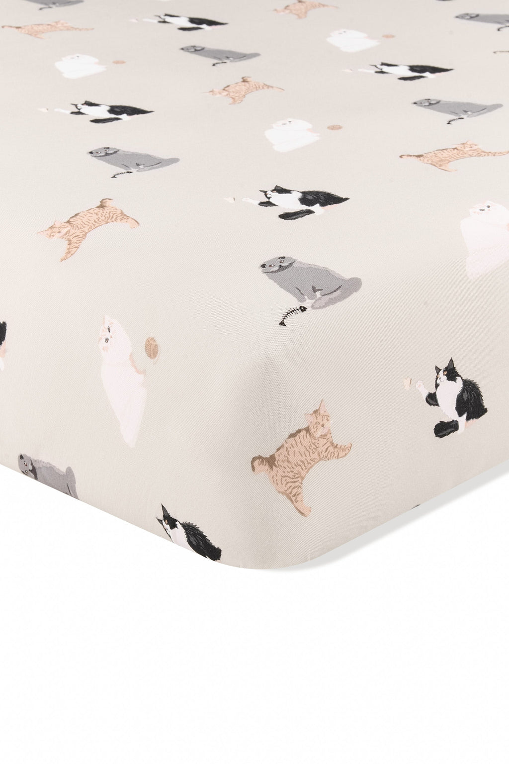 Twin Sheet in Fluffy Cat