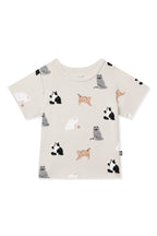 Toddler Basic Tee in Fluffy Cat