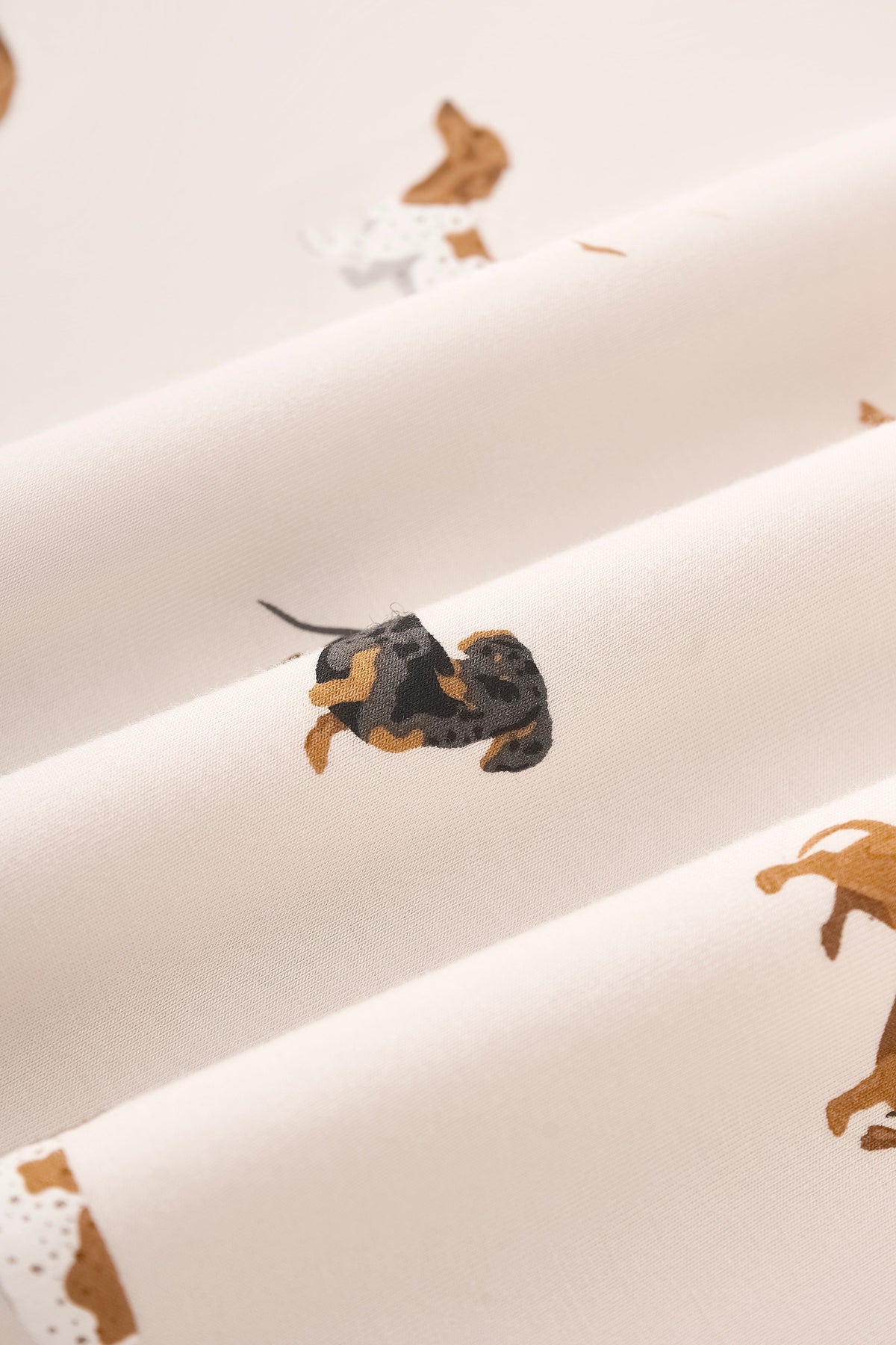 Bib in Dachshund