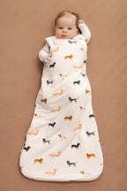 Sleep Bag in Dachshund 1.0