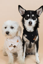 Dog Bandana in Halloween Friends
